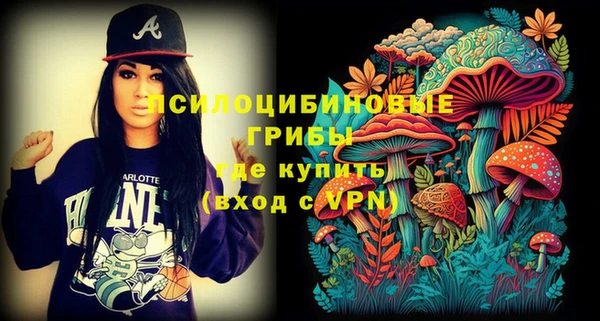 МДПВ Абаза
