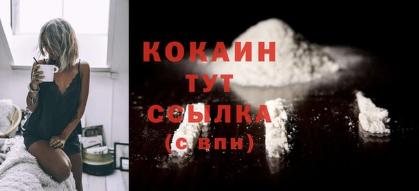 МДПВ Абаза