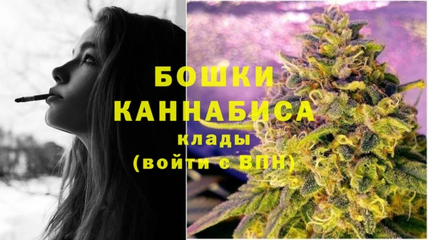 крисы Нея