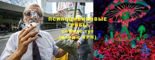 МДПВ Абаза