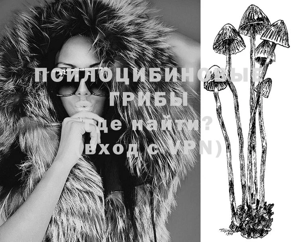 крисы Нея